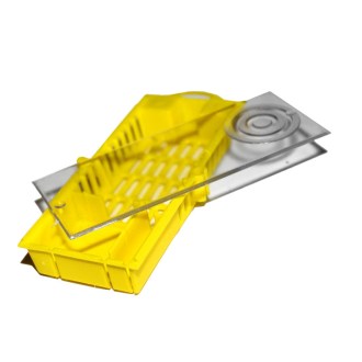 Cage d'expédition et d'introduction de reines